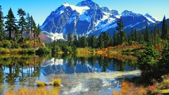 Landscapes nature Trees Mountains ice lakes natural forests