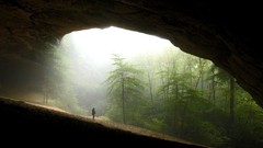 Landscapes nature Trees Mountains inside caves
