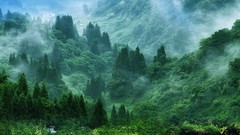 Landscapes nature Trees Mountains Japan Plants rivers forests