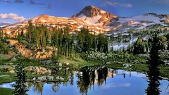 Landscapes nature Trees Mountains lakes