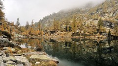 Landscapes nature Trees Mountains lakes