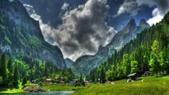 Landscapes nature Trees Mountains lakes HDR Photography