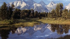 Landscapes nature Trees Mountains lakes reflections