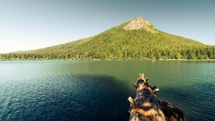 Landscapes nature Trees Mountains lakes skies