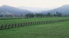 Landscapes nature Trees Mountains land fences