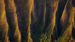 Landscapes nature Trees Mountains moss Plants cliffs side view 