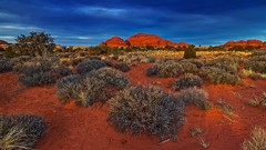 Landscapes nature Trees Mountains Needles Canyonlands National 