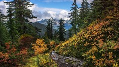 Landscapes nature Trees Mountains outdoors forests