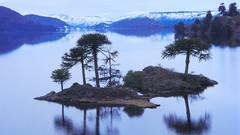 Landscapes nature Trees Mountains peace lakes