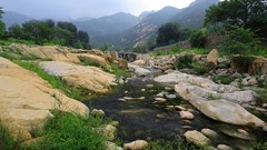 Landscapes nature Trees Mountains pebbles rocks