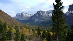Landscapes nature Trees Mountains pine trees