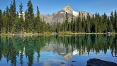 Landscapes nature Trees Mountains reflections