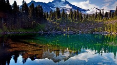 Landscapes nature Trees Mountains reflections