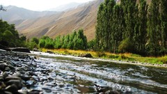 Landscapes nature Trees Mountains rivers