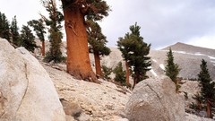 Landscapes nature Trees Mountains rocks