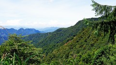 Landscapes nature Trees Mountains skies