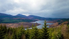 Landscapes nature Trees Mountains spring highlands lakes forests