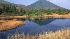 Landscapes nature Trees Mountains swamps