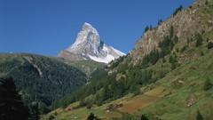 Landscapes nature Trees Mountains switzerland matterhorn