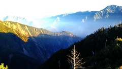 Landscapes nature Trees Mountains Taiwan