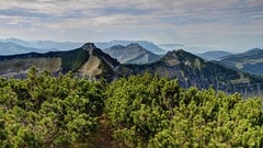Landscapes nature Trees Mountains weather stock photo
