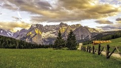 Landscapes nature Trees mushrooms