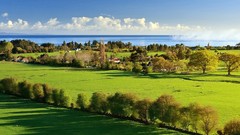 Landscapes nature Trees New Zealand