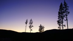 Landscapes nature Trees night hills evening