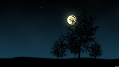 Landscapes nature Trees night moon digital art