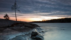 Landscapes nature Trees night rocks skyscapes