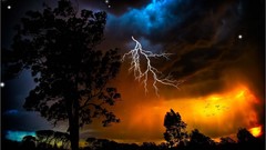 Landscapes nature Trees night Stars sky Lightning orange Birds 