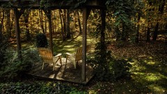 Landscapes nature Trees paradise chairs peace forests