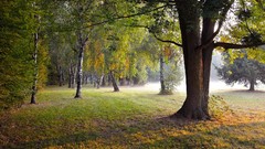 Landscapes nature Trees Parks forests HDR Photography