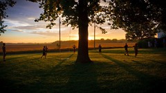 Landscapes nature Trees Parks playing national geographic swings