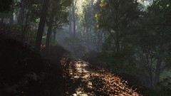 Landscapes nature Trees path sunlight forests cgi renders