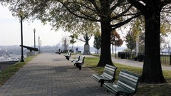 Landscapes nature Trees paths