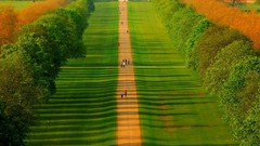 Landscapes nature Trees paths fields