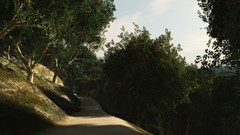 Landscapes nature Trees paths Trails