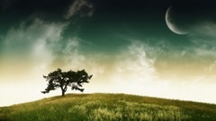 Landscapes nature Trees planets