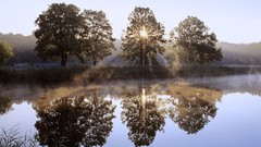 Landscapes nature Trees Plants