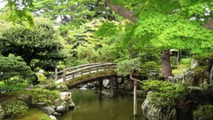 Landscapes nature Trees Plants Garden Bridges rivers