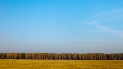 Landscapes nature Trees Poland fields