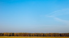 Landscapes nature Trees Poland fields forests