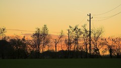 Landscapes nature Trees power