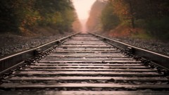 Landscapes nature Trees railroad tracks