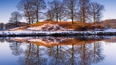 Landscapes nature Trees reflections