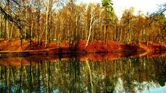 Landscapes nature Trees reflections