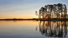 Landscapes nature Trees reflections