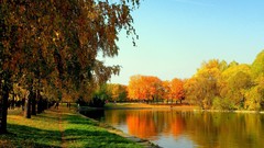Landscapes nature Trees reflections