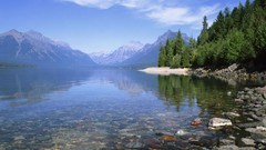 Landscapes nature Trees reflections